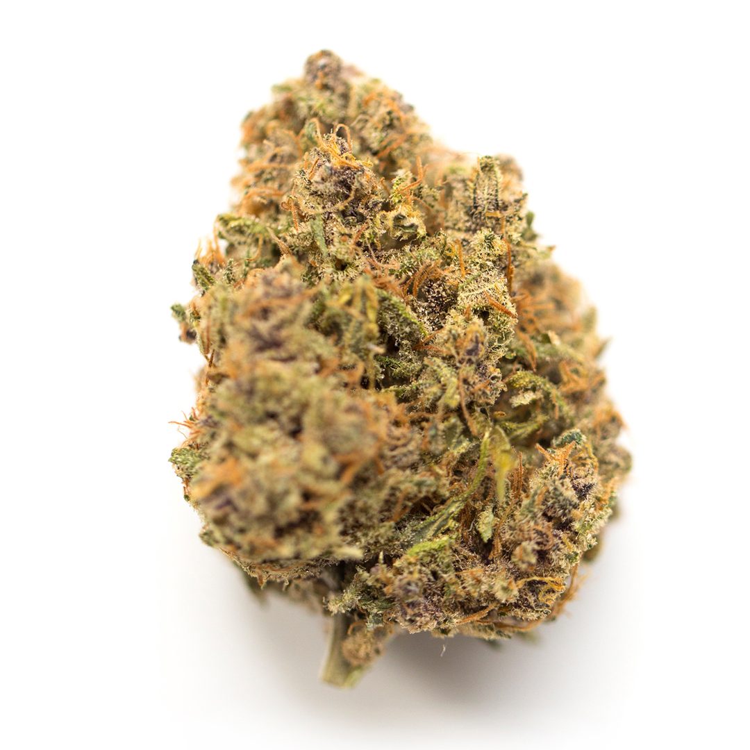 King Louis XIII